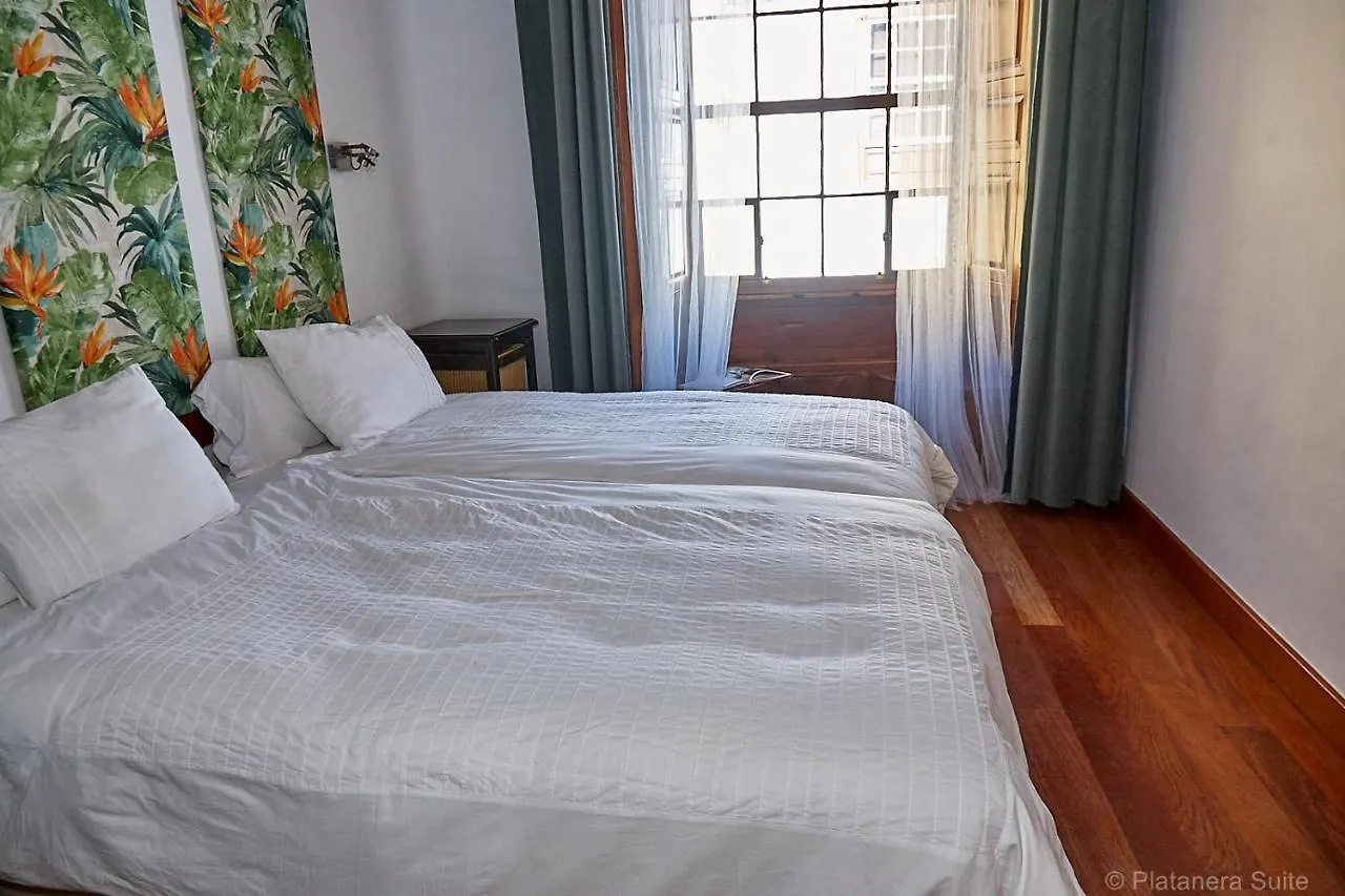 Platanera Suites Icod De Los Vinos Apartment