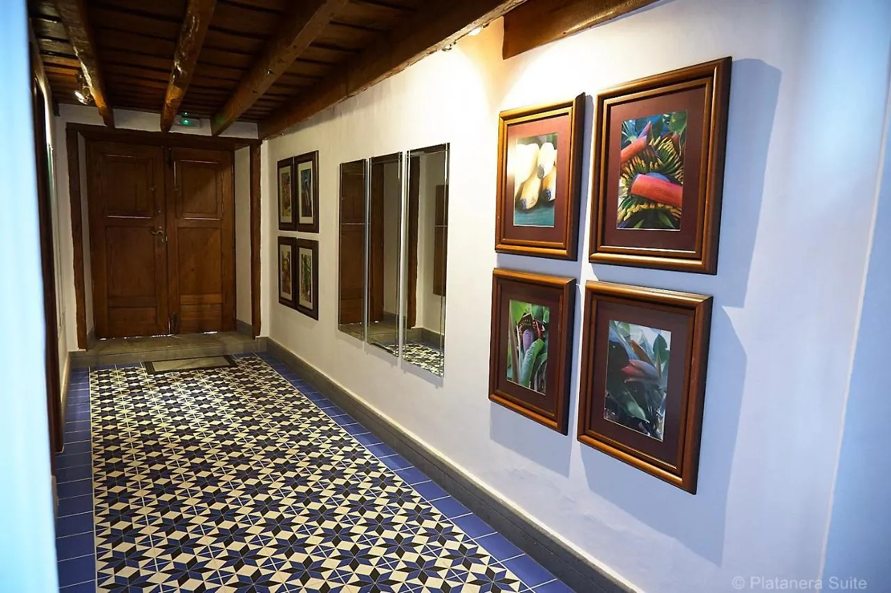 Apartment Platanera Suites Icod De Los Vinos